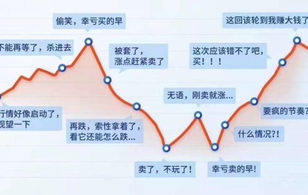 牛市来了，高速应急车道停车炒股 趣事儿 第1张